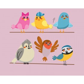 Cute Birds